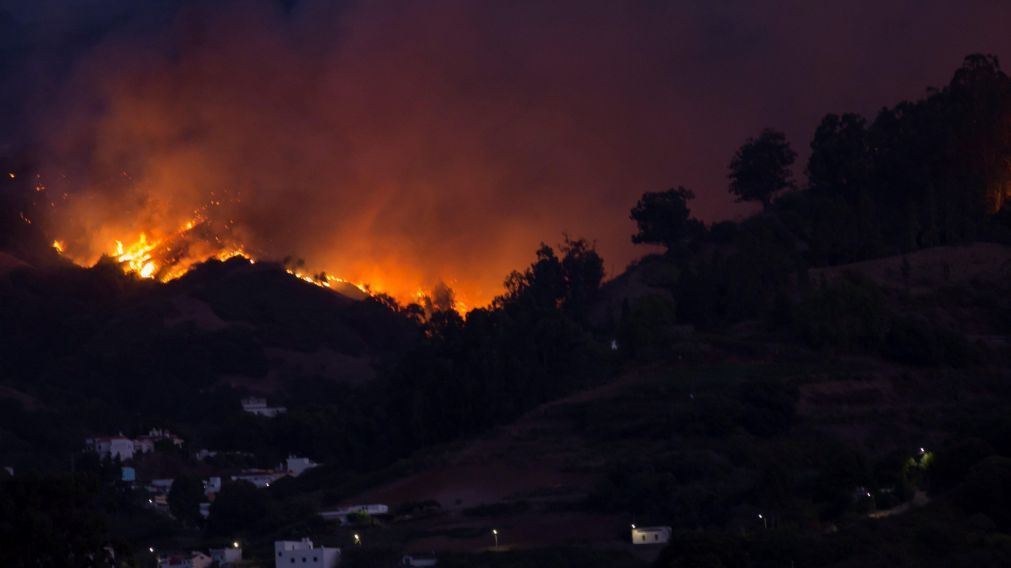 Las llamas devastaron más de 6 mil hectáreas (Foto: Europa Press).