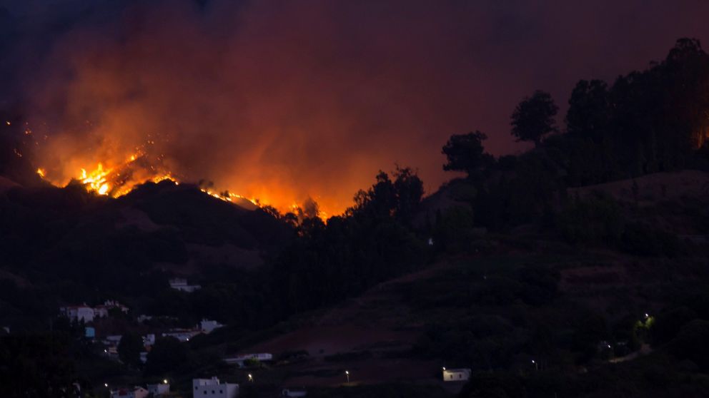Las llamas devastaron más de 6 mil hectáreas (Foto: Europa Press).