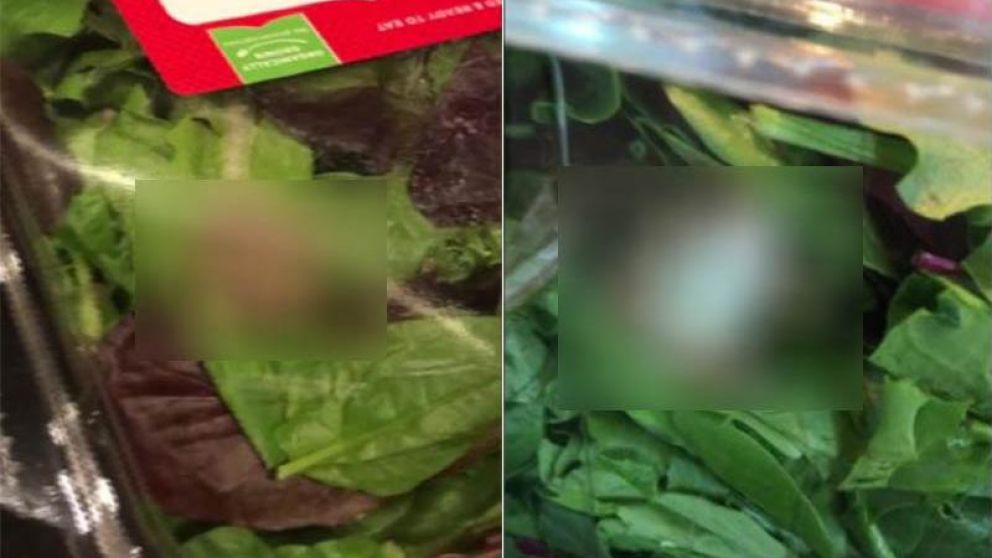 La ensalada había pasado por un proceso de triple lavado... supuestamente.