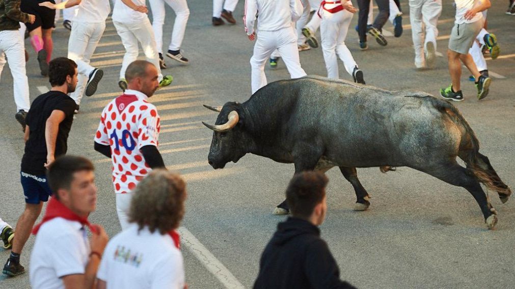 La v�ctima recibi� "corneadas" en el abdomen y el muslo (Navarra.com).