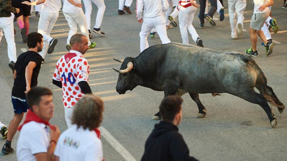 La víctima recibió "corneadas" en el abdomen y el muslo (Navarra.com).