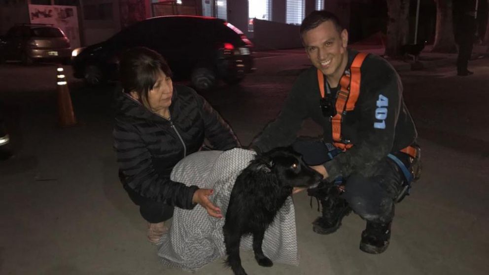 El perro rescatado, su dueña y el bombero que lo salvó. (Gentiliza Policía de la Ciudad)