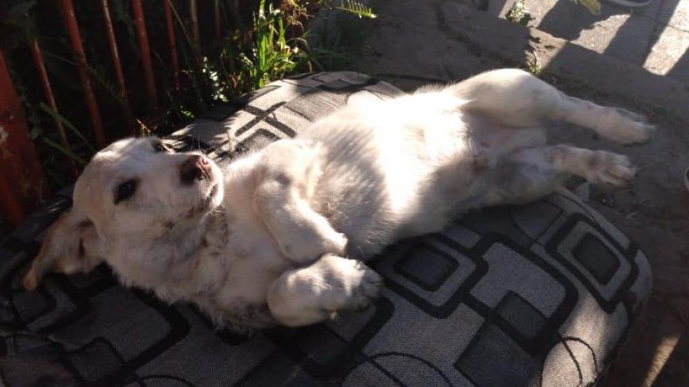 Lo sacaron de la vivienda prendida fuego y le practicaron RCP.