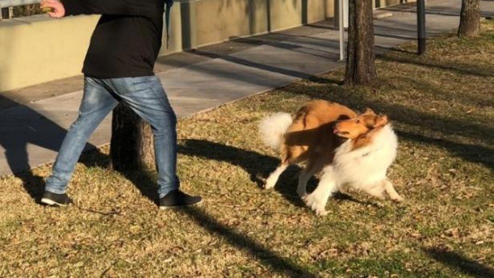 "A Dylan le gusta jugar con sus amiguitos", dijo Mauricio.