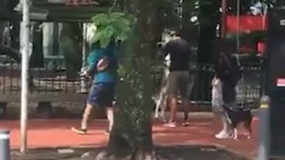 Pese a la aberrante escena, los transeúntes no intervinieron para ayudar al animal (Captura de TV).