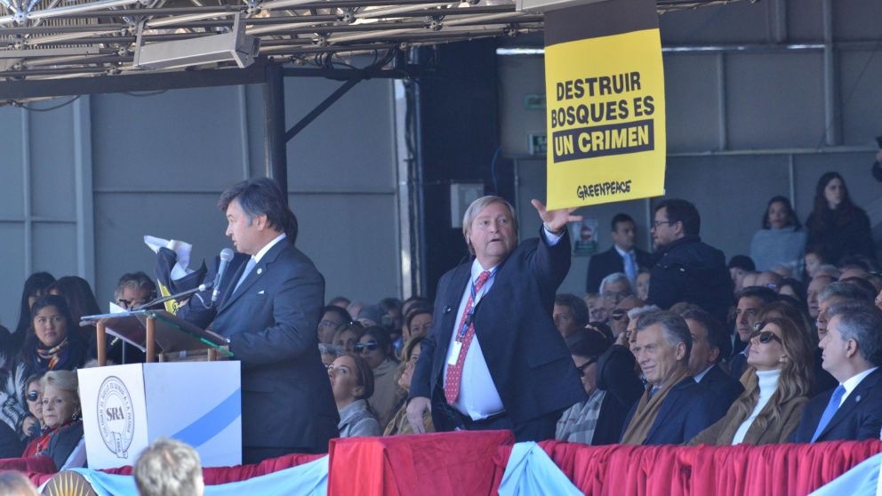 Este sábado, llevaron a cabo un reclamo por Desmontes en la Sociedad Rural (Gentileza: Greenpeace.org)