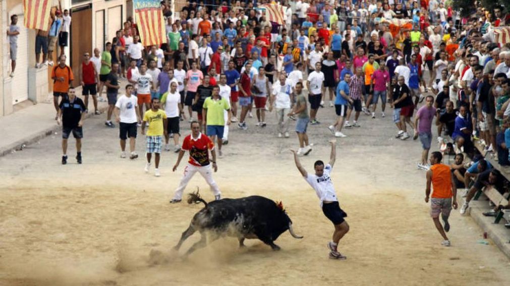 El hombre recibió heridas de 22 centímetros por la cornada. (EFE)