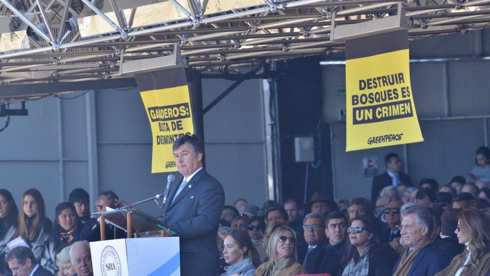 Banderas colgadas desde el techo en La Rural. ( Twitter Greenpeace)