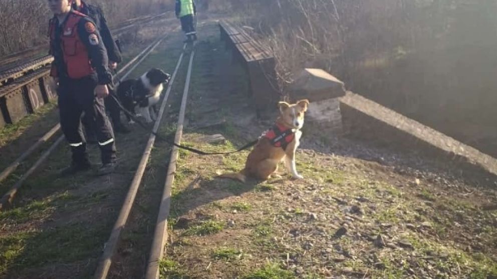 La policía hizo rastrillajes en las vías del Sarmiento.