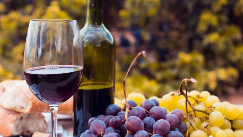 Vecinos y visitantes se suman a la fiesta anual del vino, disfrutando de música, gastronomía y tradición en un ambiente único junto al río.