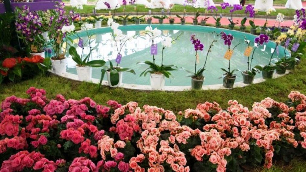 Una propuesta que combina tradición, cultura y experiencias únicas para disfrutar de la primavera.