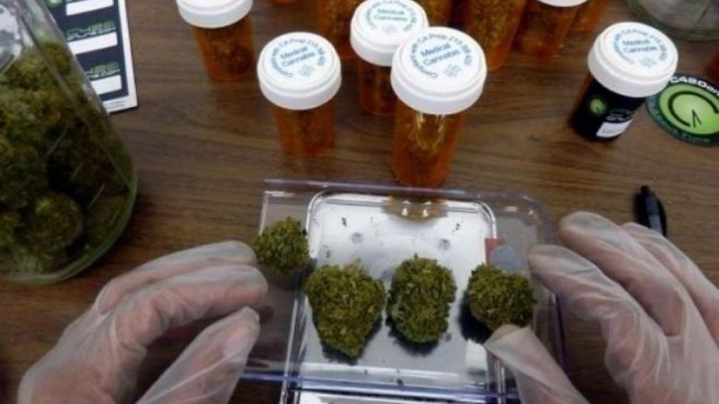 Las farmacias de la provincia de Buenos Aires empezarán a importar aceite de cannabis.