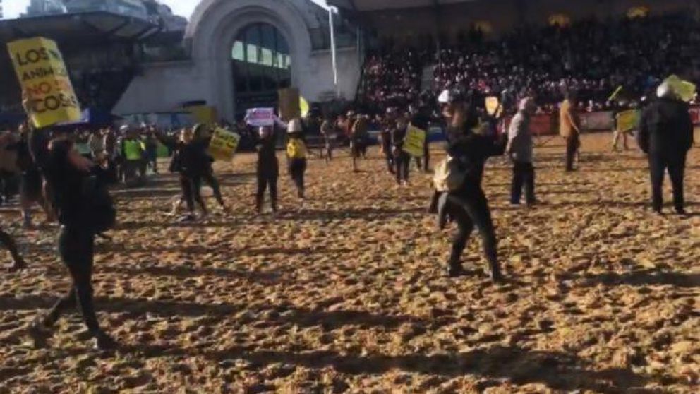 Alrededor de cincuenta activistas protestaron contra la degradación animal