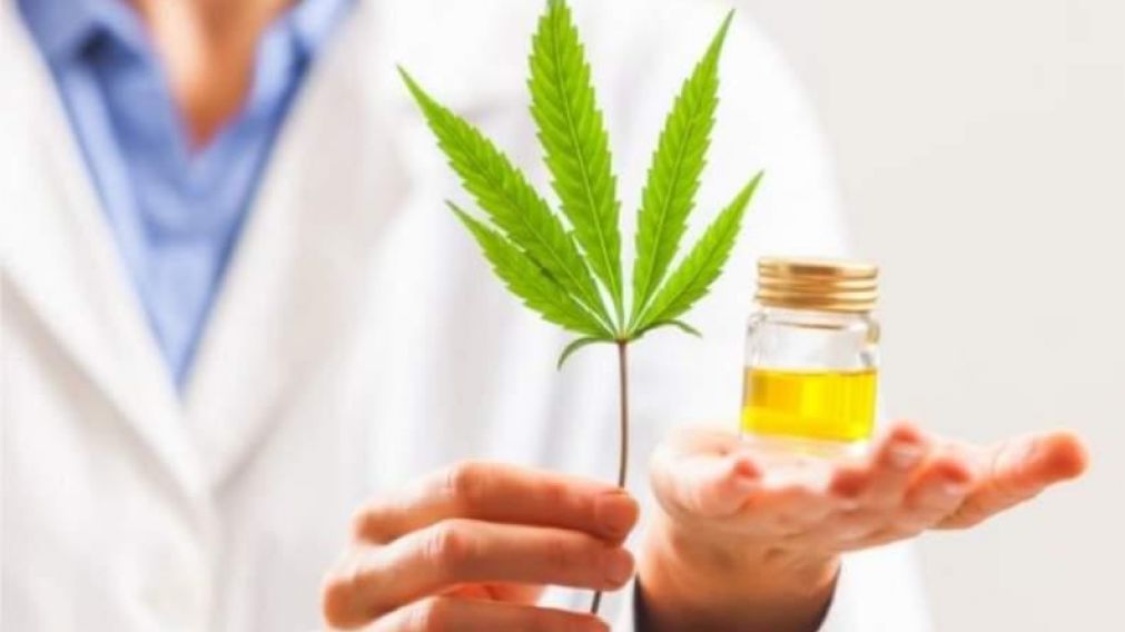 En La Plata, las farmacias podr�n vender aceite de cannabis.