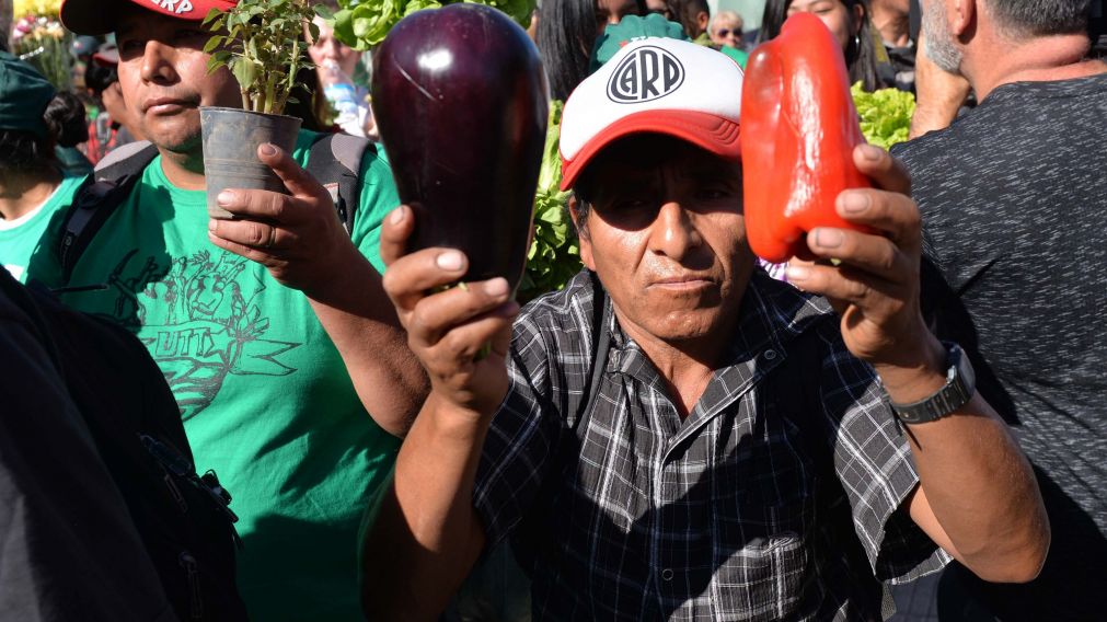 Uno de los feriazos que se han llevado a cabo en Plaza de Mayo (Nahuel Ventura - Diario Cr�nica)