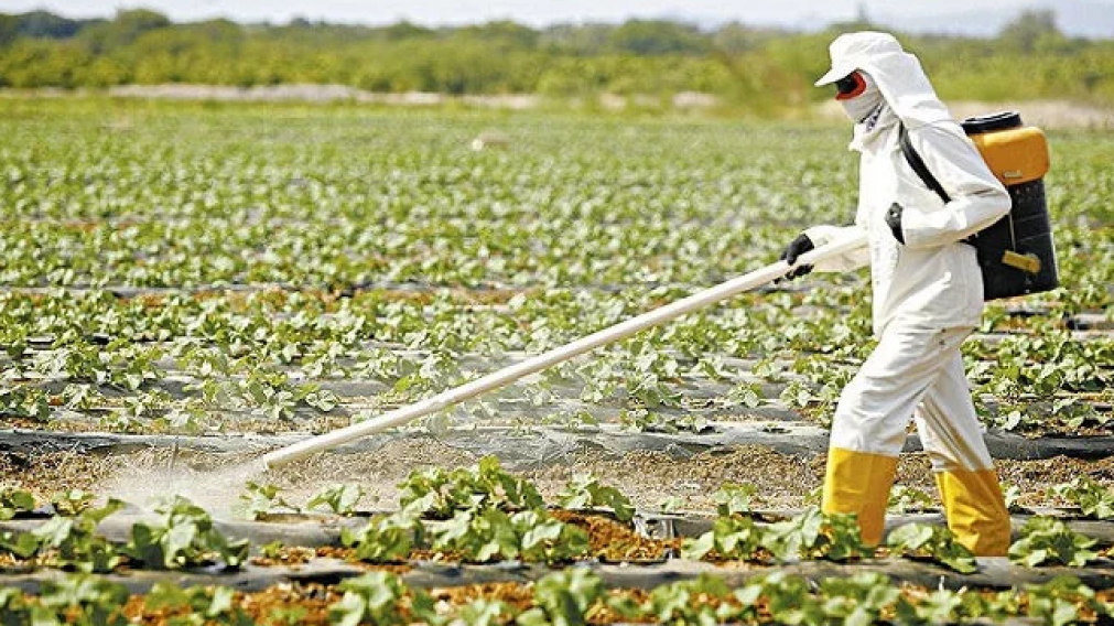 Hay record de venenos autorizados en Brasil.