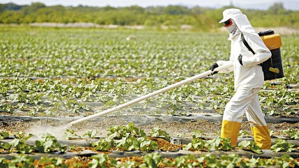 Hay record de venenos autorizados en Brasil.
