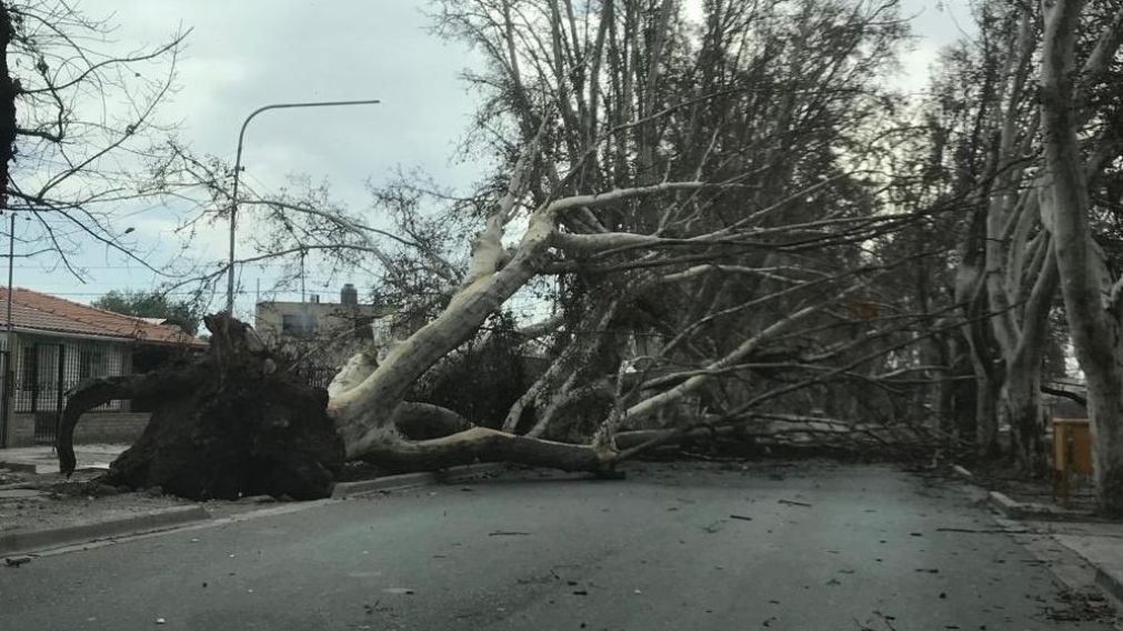 El zonda ocasion� destrozos en distintas ciudades de Mendoza.