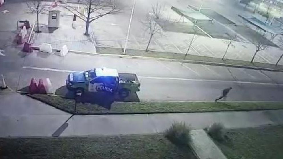 Así quedó registrada la fuga del delincuente (Captura).