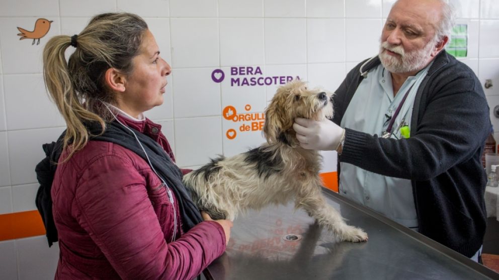 El especialista asistió a 13 mascotas (Municipalidad de Berazategui).