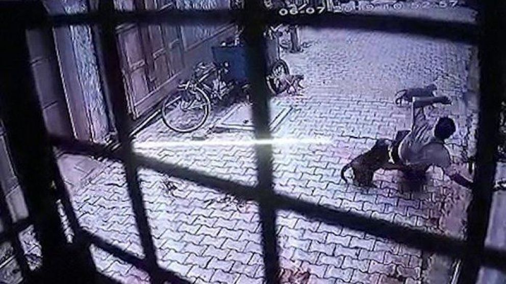 Ocurrió en la ciudad de Mathura. (Captura)