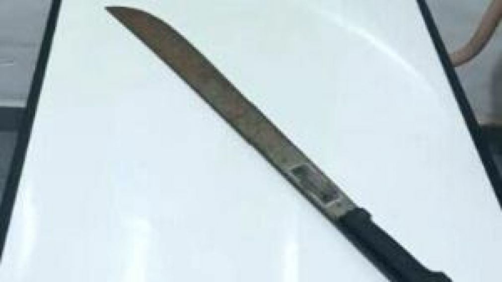 El machete con que el jubilado intentó asesinar a su mujer.
