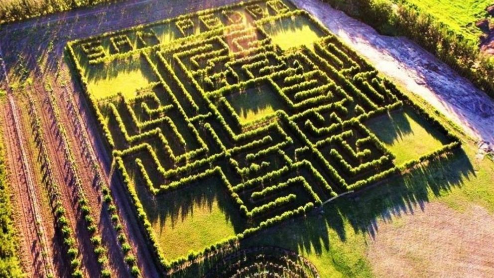 El laberinto natural que promete una desafiante y entretenido.