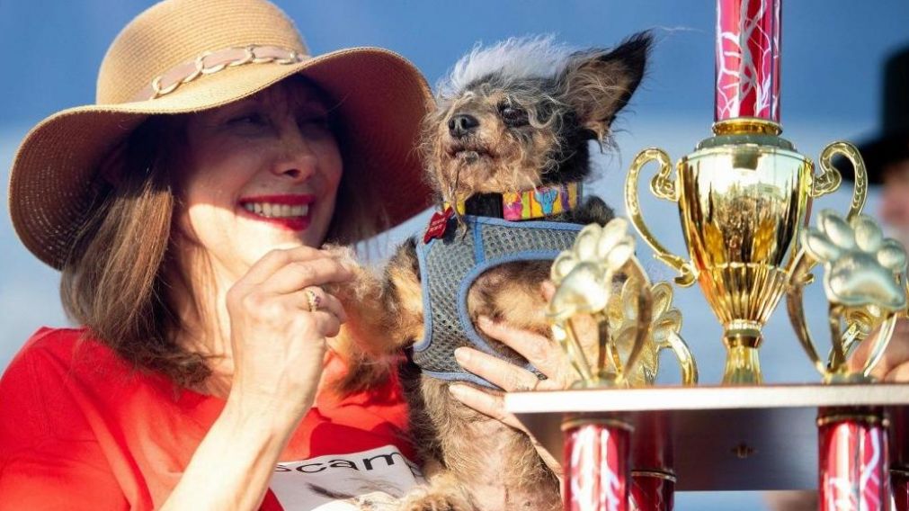 Scamp junto a su dueña cuando gano el premio.