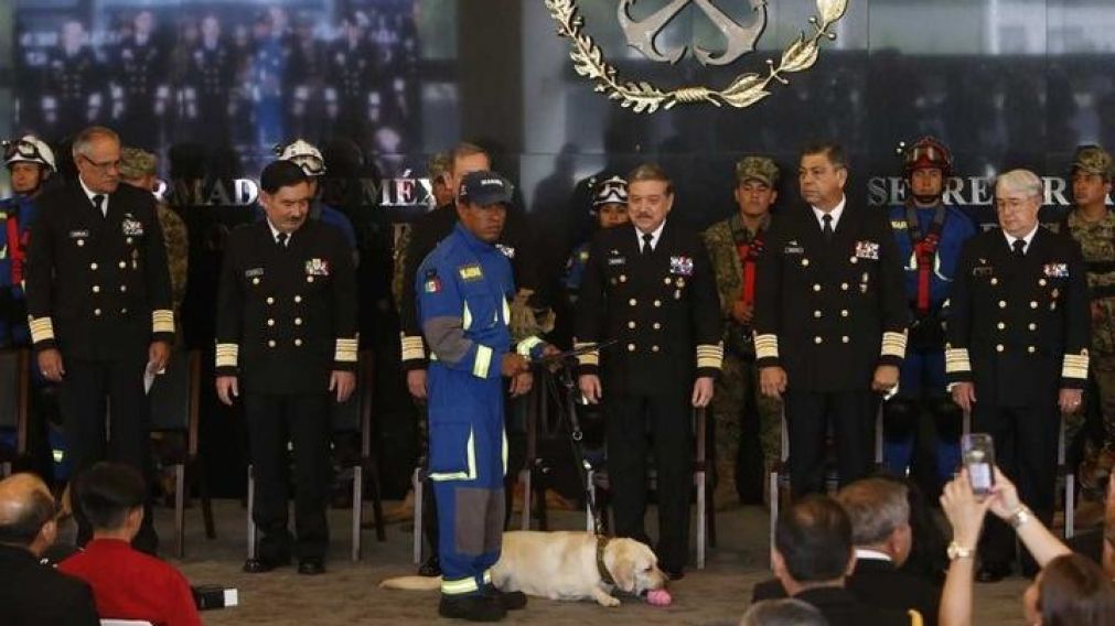Merecido reconocimiento para Frida. (Gentileza Milenio).