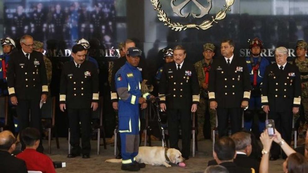 Merecido reconocimiento para Frida. (Gentileza Milenio).