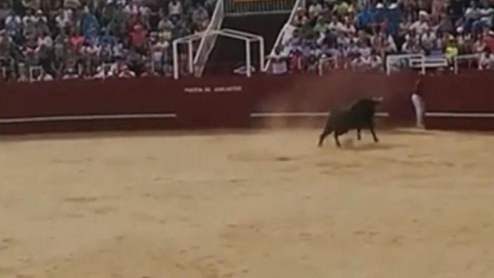 El toro embistió a un operario de la plaza y le provocó heridas mortales.
