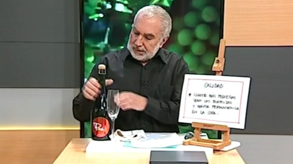 El "experto" causó furor en las redes sociales. (Captura)