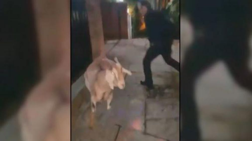 Fue grabado por su hermano en la puerta de su casa (Captura)