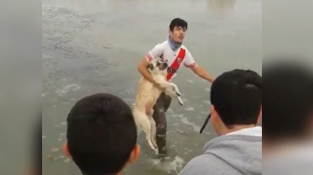 El valiente joven no dudo en rescatar al can. (Captura de pantalla)