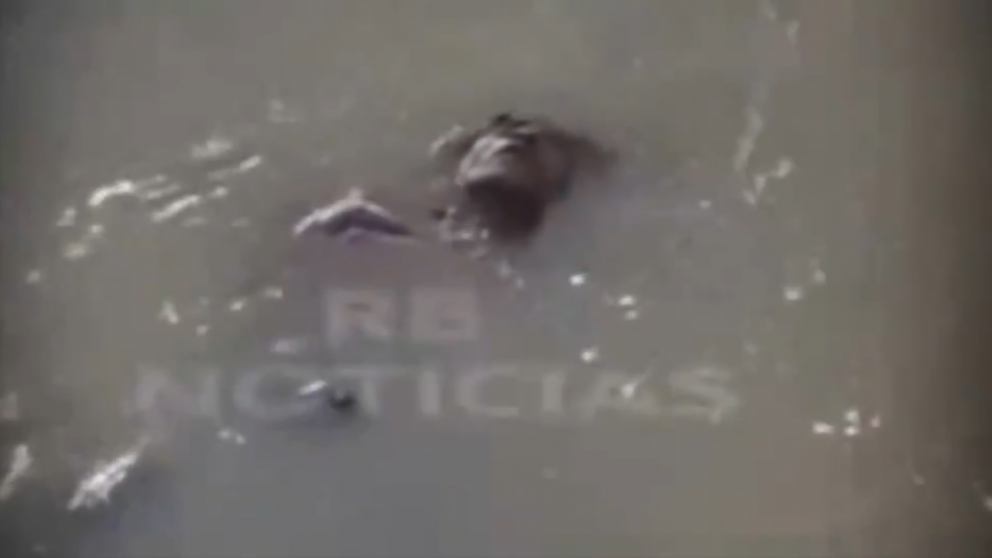 El hombre decidió tomar una siesta en un lugar poco usual (Captura de video).