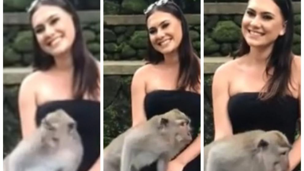 La joven se llevó un recuerdo y un susto (Captura de video).