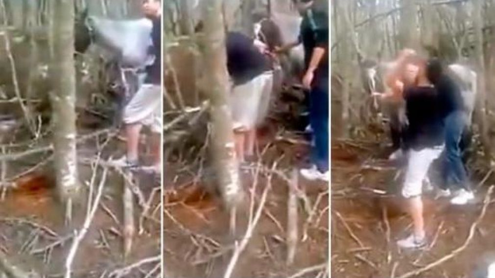 Así mataban al animal a martillazos (captura video).