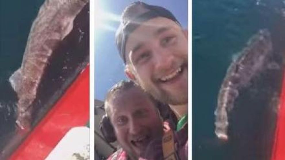 El hecho generó indignación en redes sociales (imagen: captura de pantalla)..