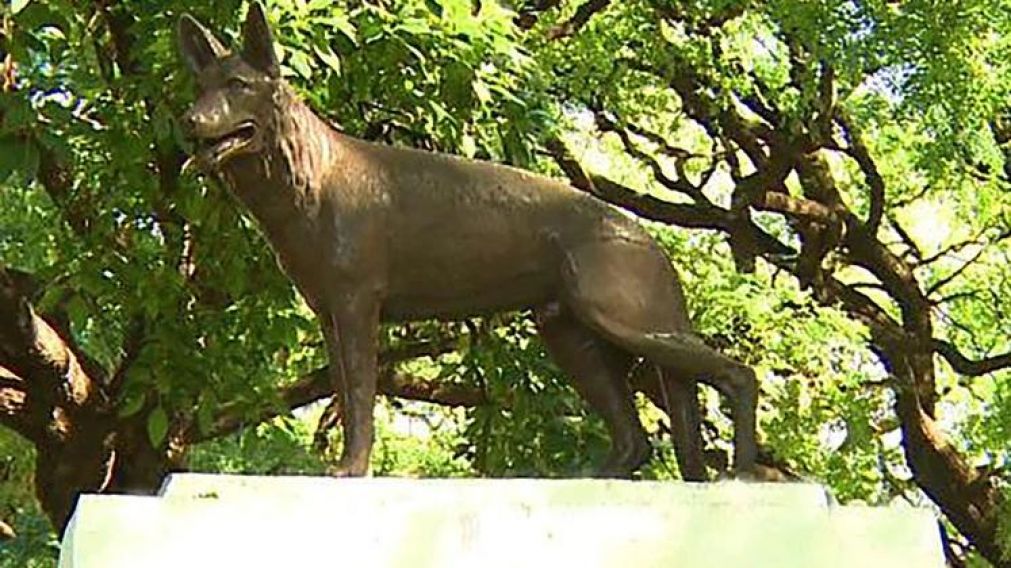 La estatua de Chonino, el primer perro muerto en cumplimiento del deber.