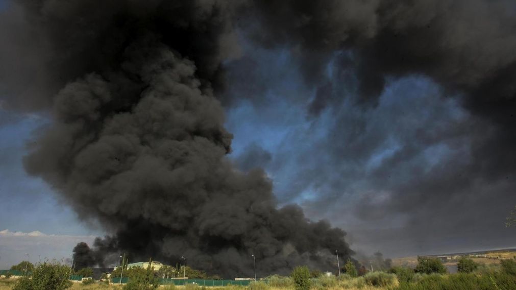 Creen que el incendio fue intencional.