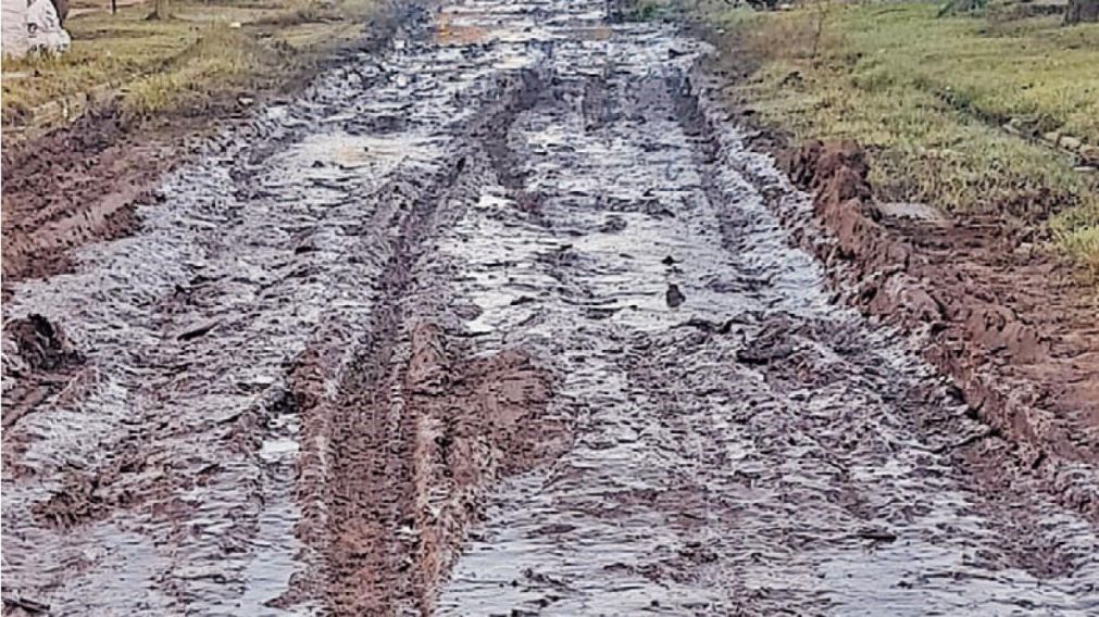 El estado de las arterias deja mucho que desear.