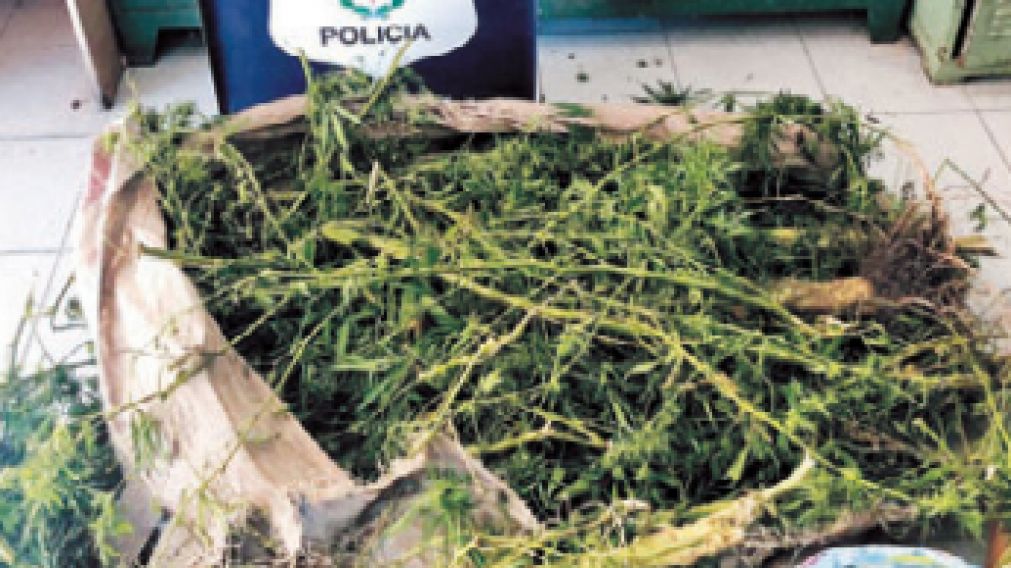 Cae "narco carpintero" cuando vecinos avisaron de asalto en su casa