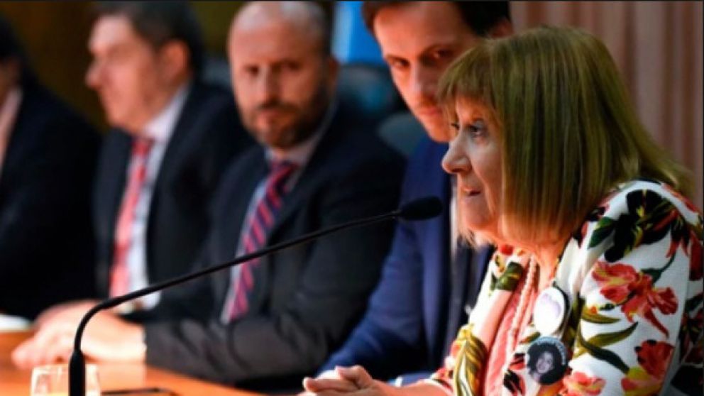 La madre de Lucila, en la presentación en el Congreso de la ley 26.879 que creó el registro.