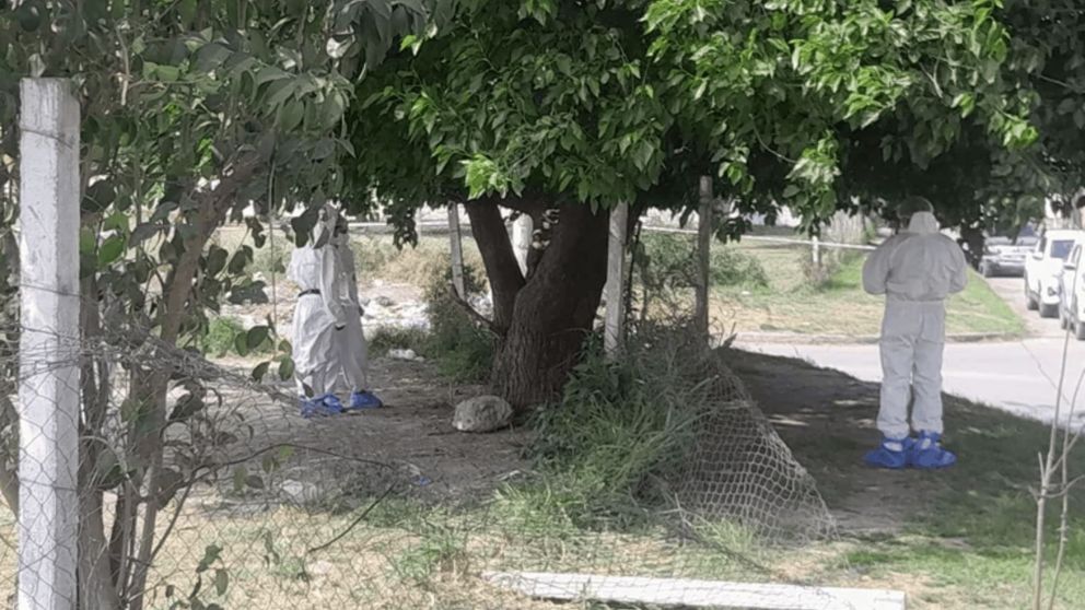 Los peritos buscando pruebas en el lugar.