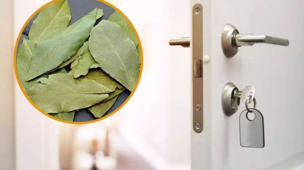 ¿Para qué sirve colgar una hoja de laurel en la puerta de entrada al hogar?