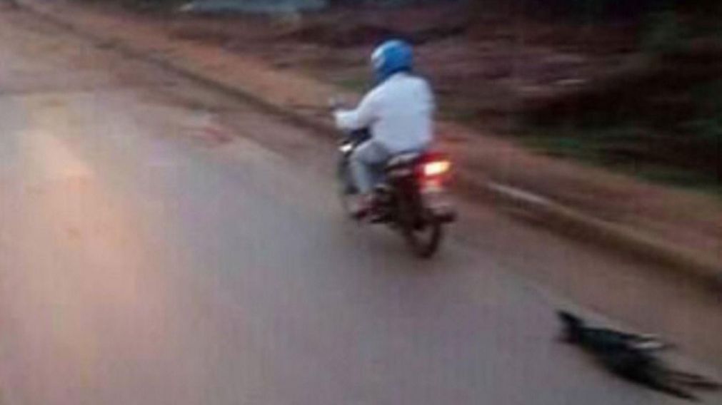 El criminal fue detenido por maltrato animal. (Captura de video).