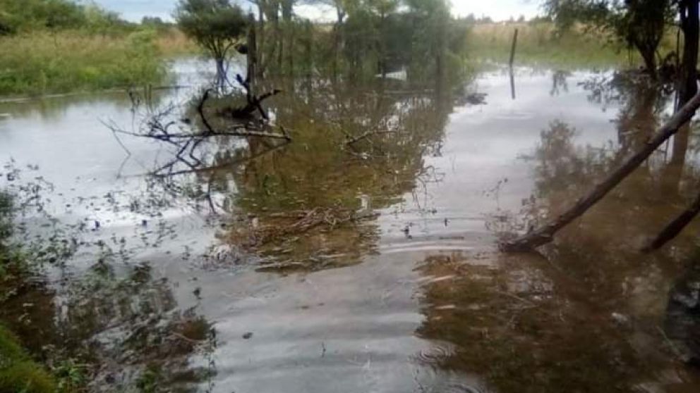 La zona rural, la más afectada por las lluvias en Itatí, Corrientes.