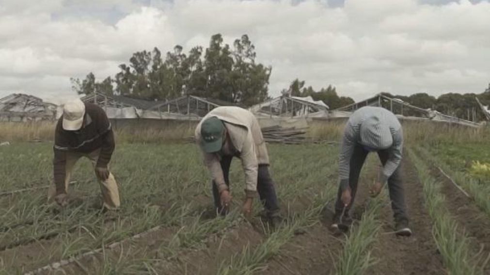 Las ventas de frutas y verduras bajaron un 25%.