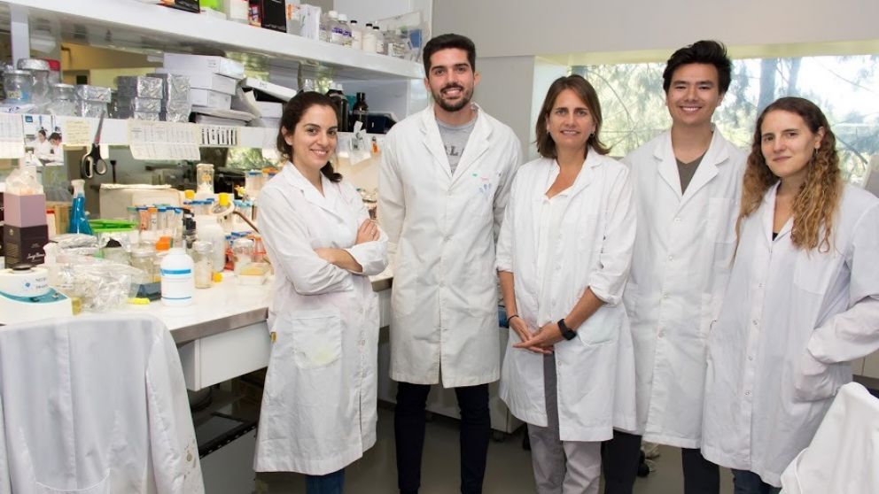La bióloga Marina Simian (centro) junto a su equipo de trabajo en su laboratorio.