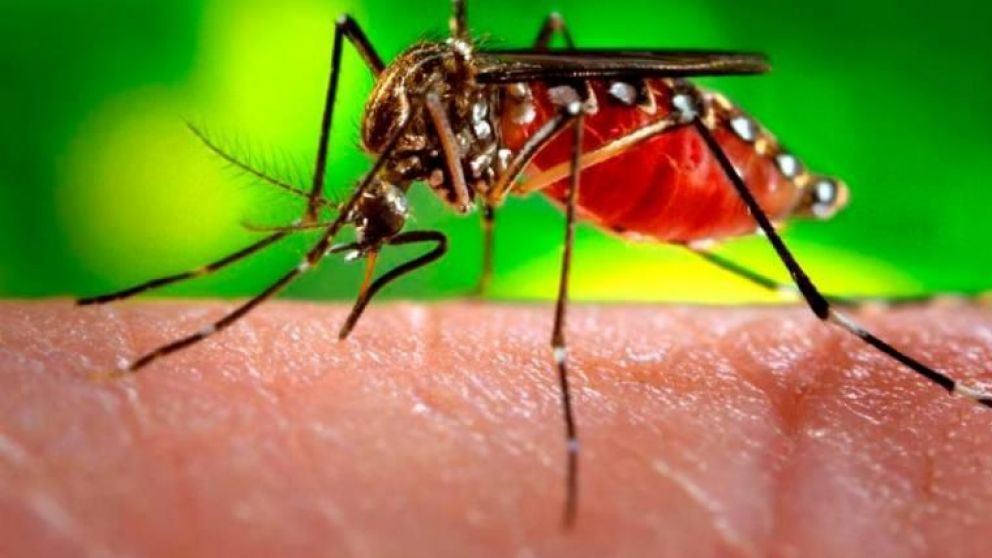 La localidad más afectada por el Dengue es la de Aguas Calientes (Imagen Ilustrativa).